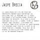 Bracelet with Unakite - Jasper Brecia